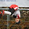 IMG-9208.JPG
