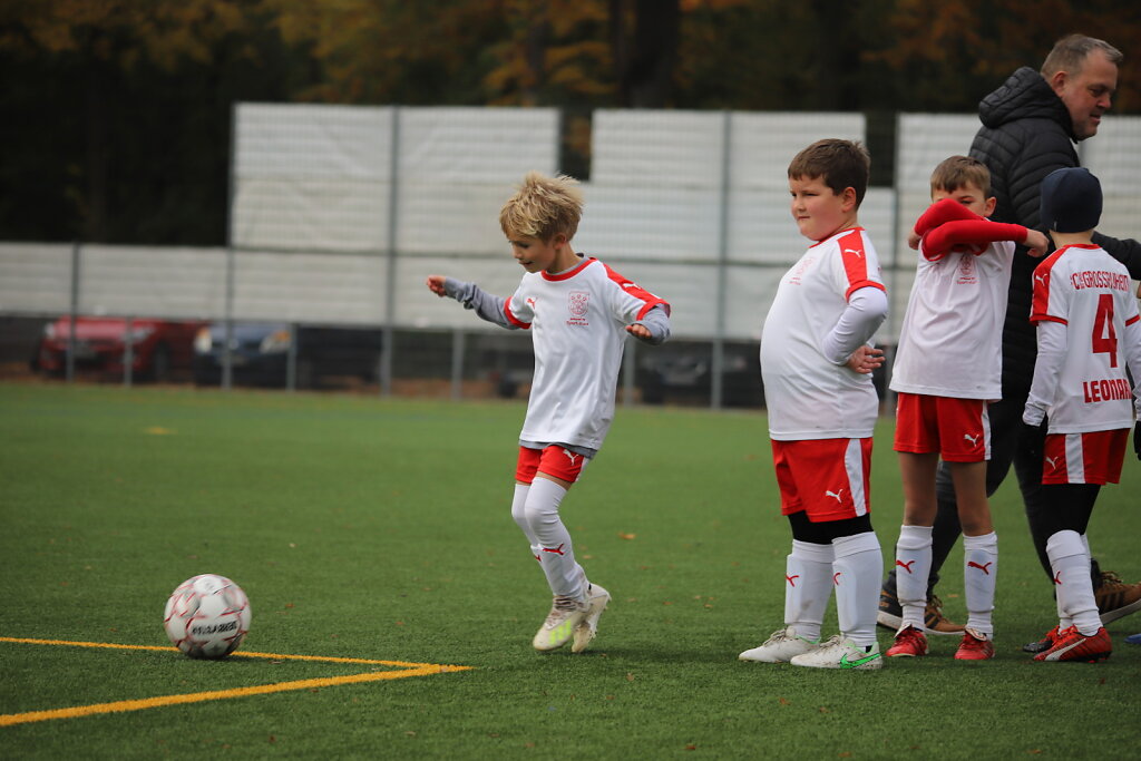 IMG-9250.JPG