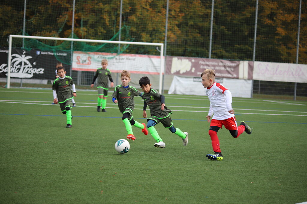 IMG-9265.JPG