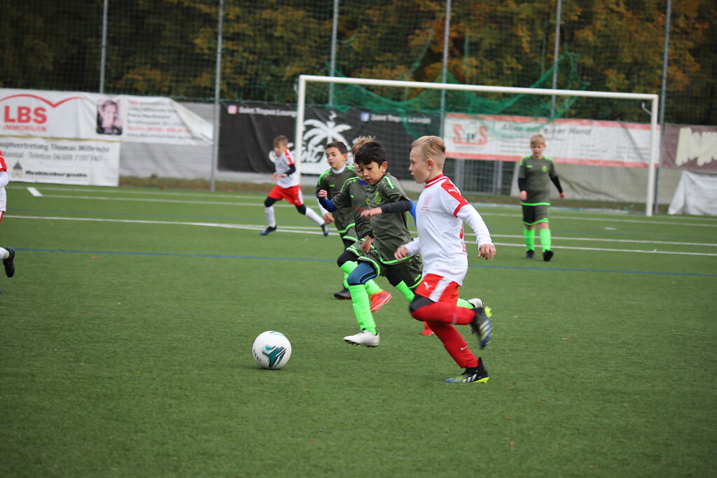 IMG-9268.JPG