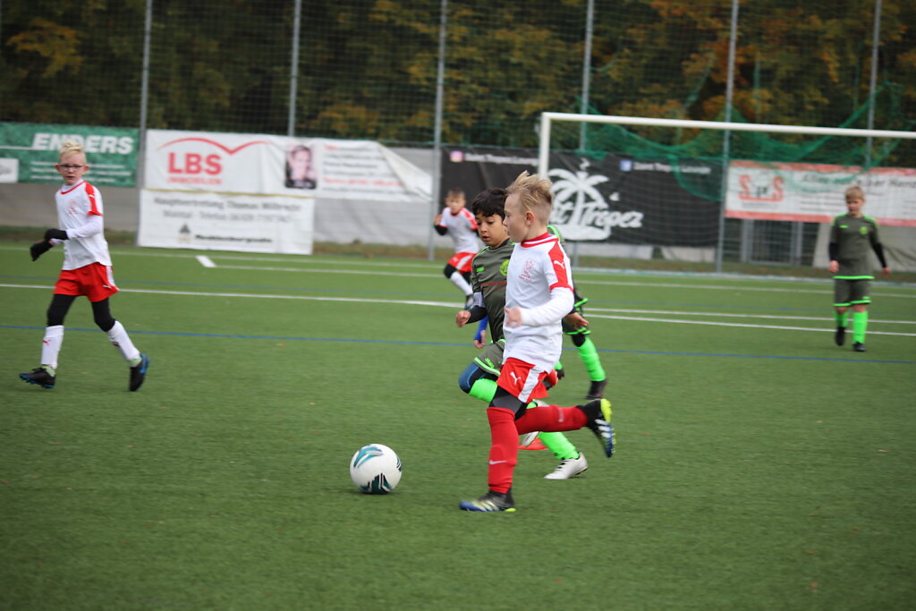 IMG-9269.JPG
