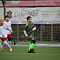 IMG-9301.JPG