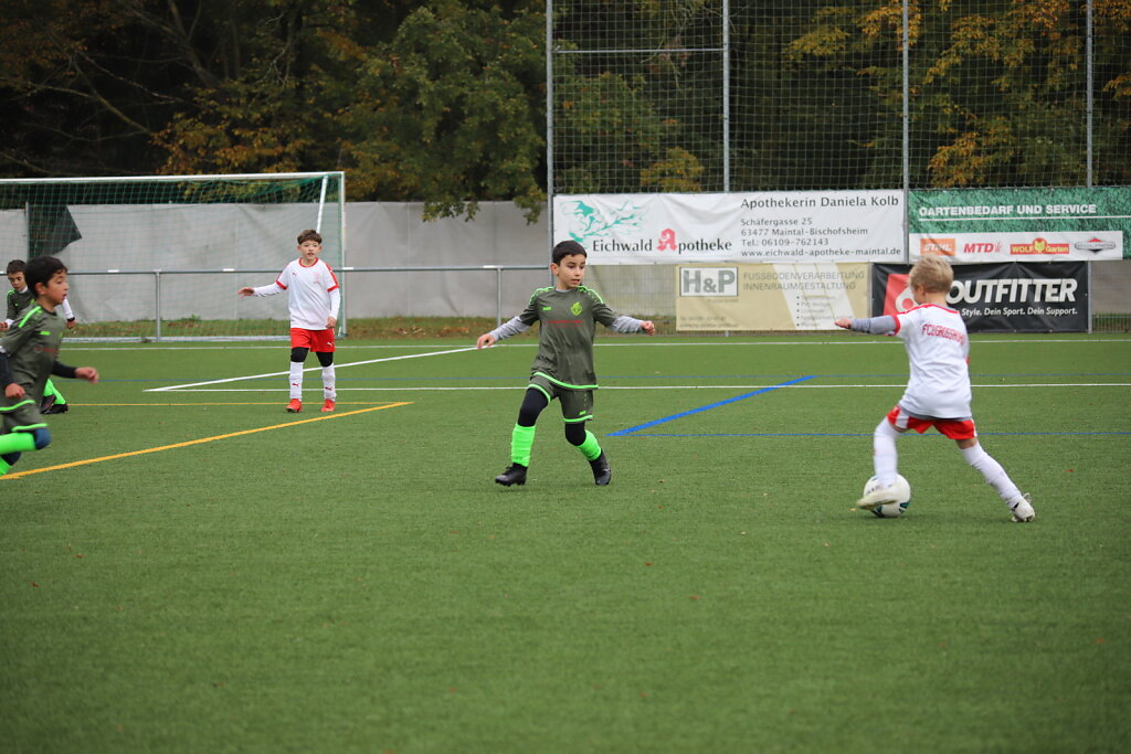 IMG-9314.JPG