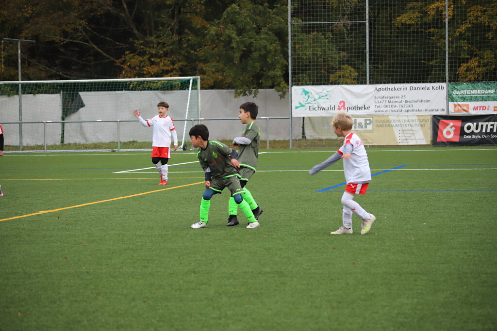 IMG-9318.JPG