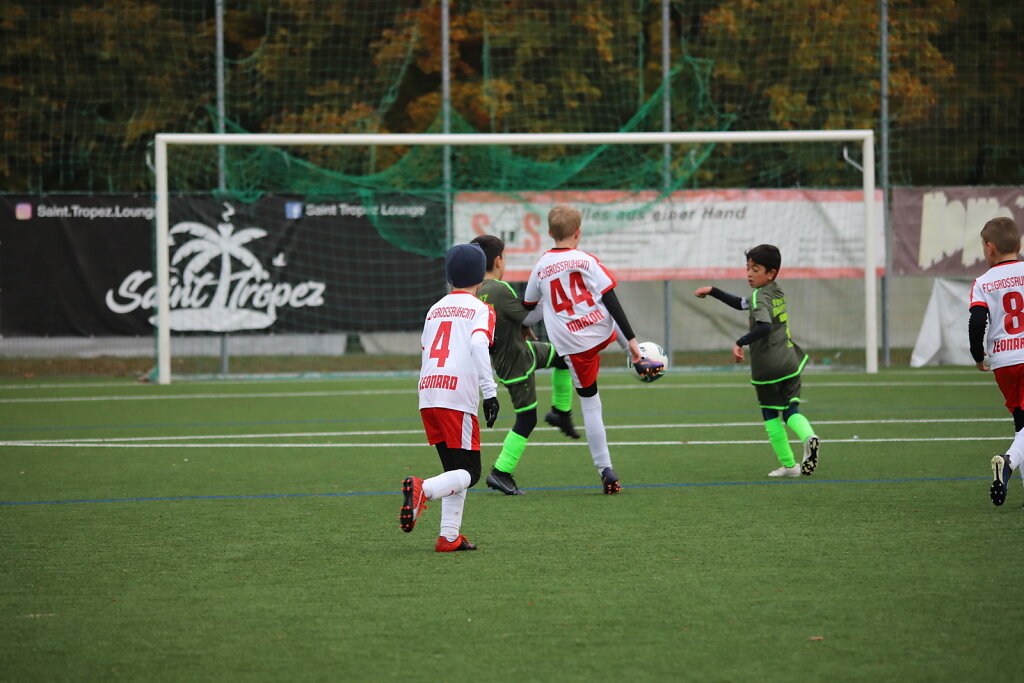 IMG-9334.JPG