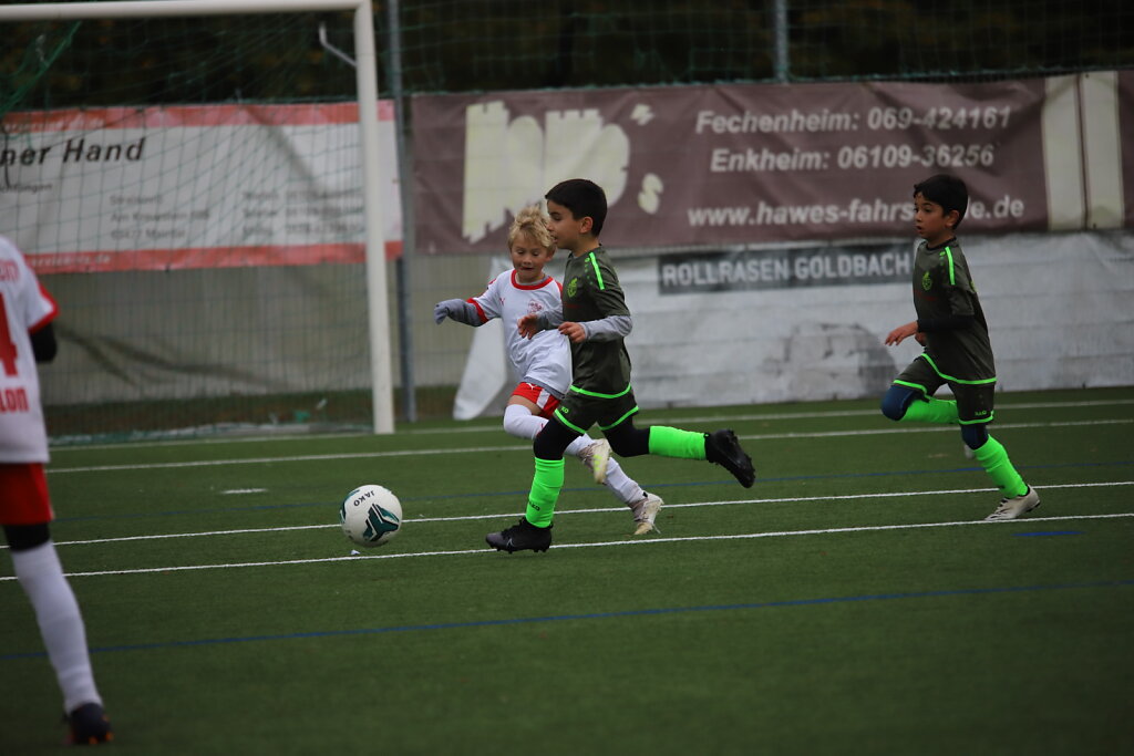 IMG-9337.JPG