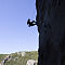 IMG-9984.jpg