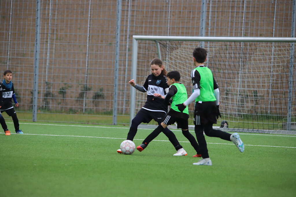 IMG-5039.JPG