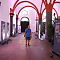 IMG-7810.JPG