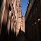 IMG-7877.JPG