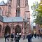 IMG-9536.JPG