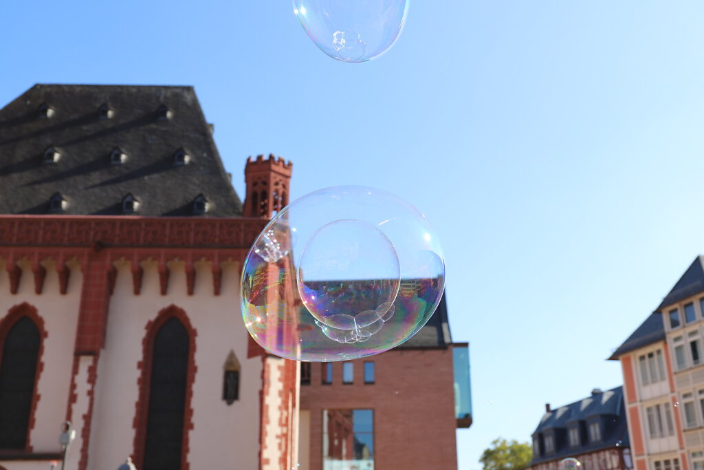 IMG-7846.JPG