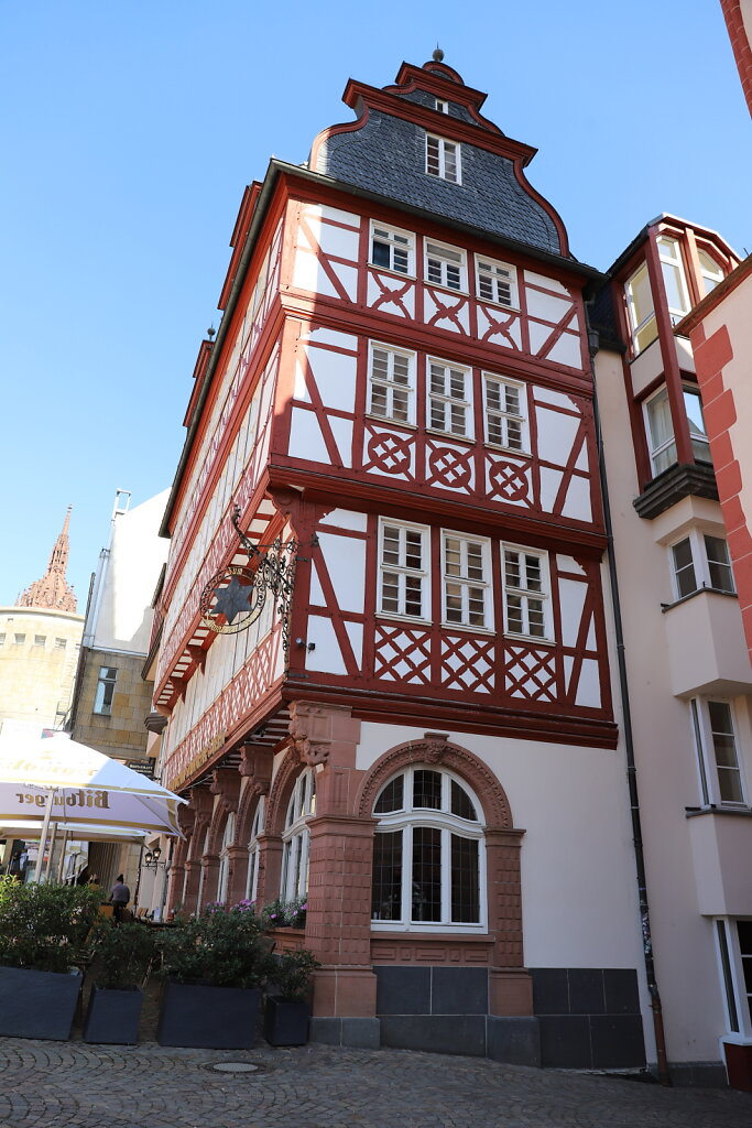 IMG-7854.JPG