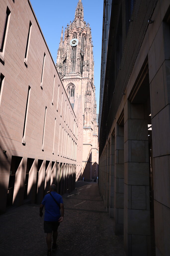 IMG-7873.JPG