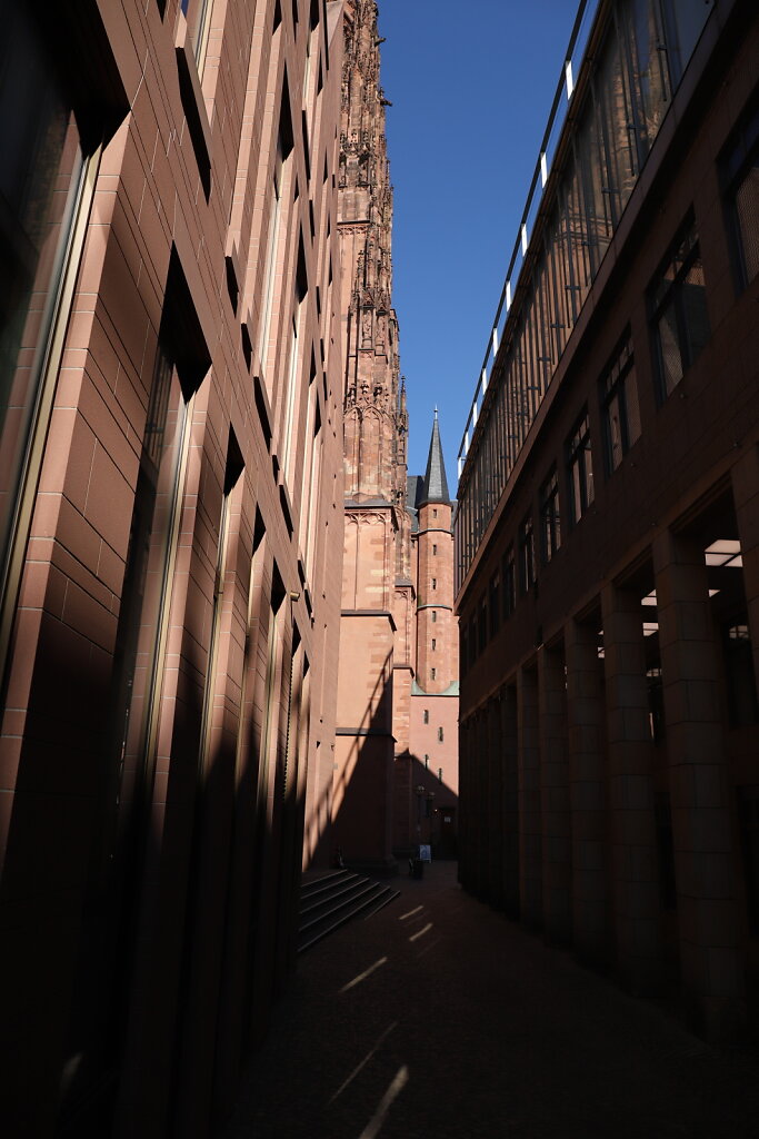 IMG-7877.JPG
